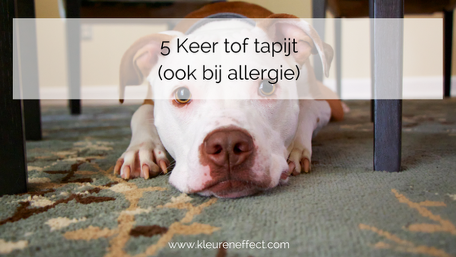 5 keer tof tapijt ook bij allergie